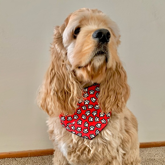 | paw print dog bandana | - Picture 5 of 11